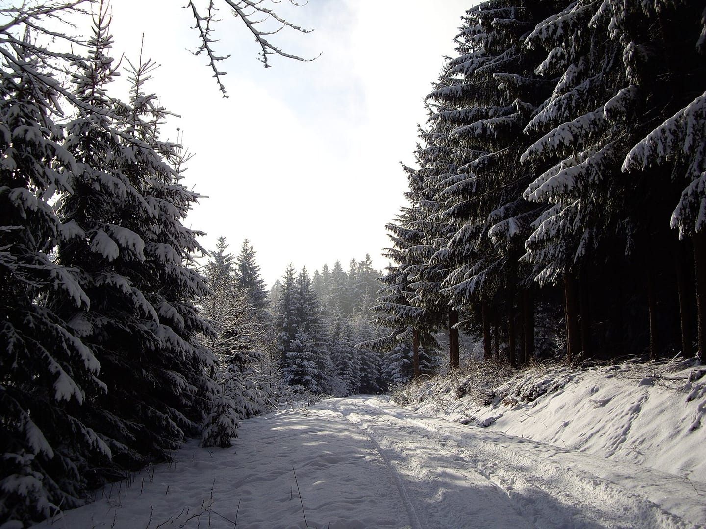 126 On The Way To Prasiva