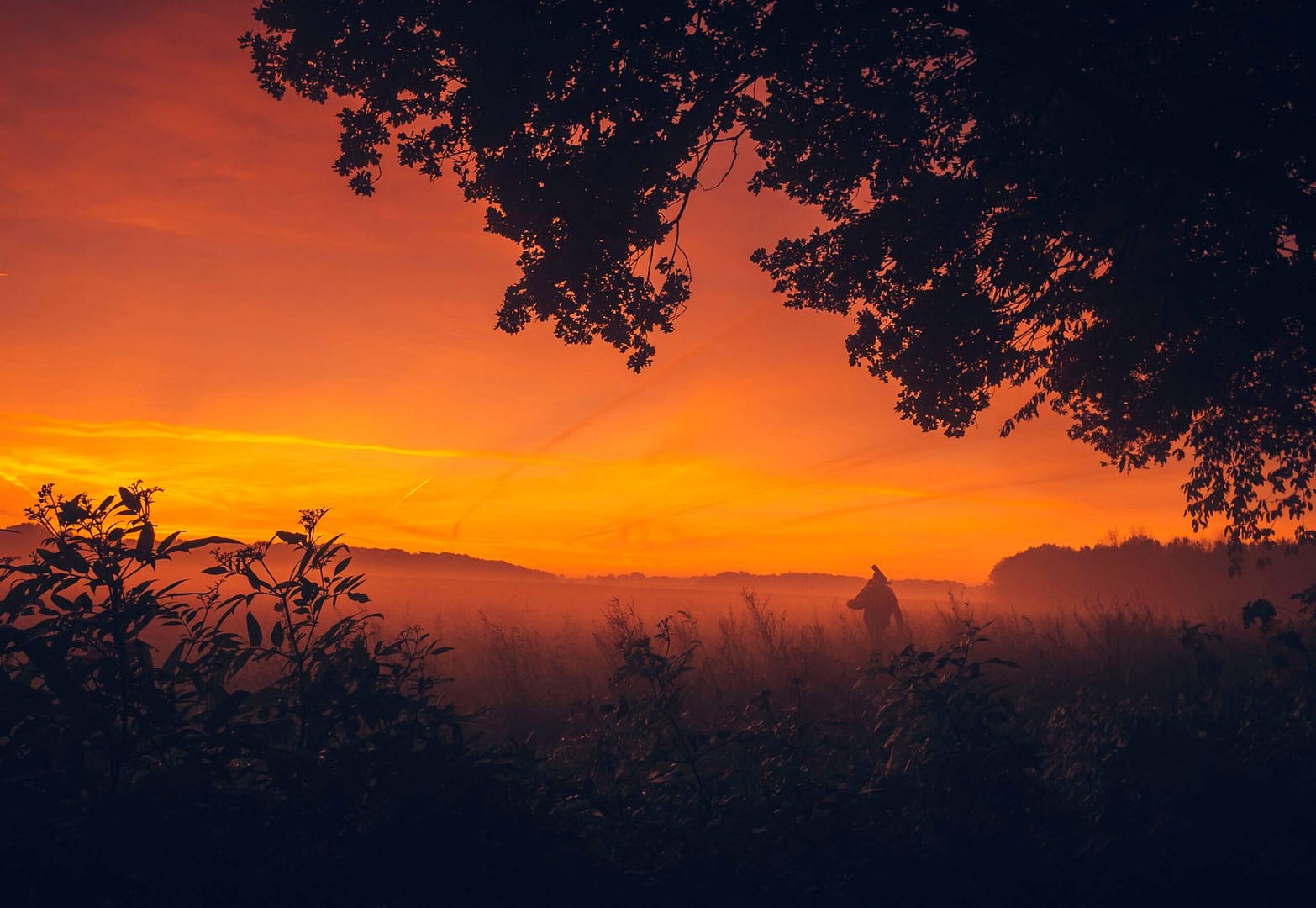 Bird Watcher, Kollenberg Sittard