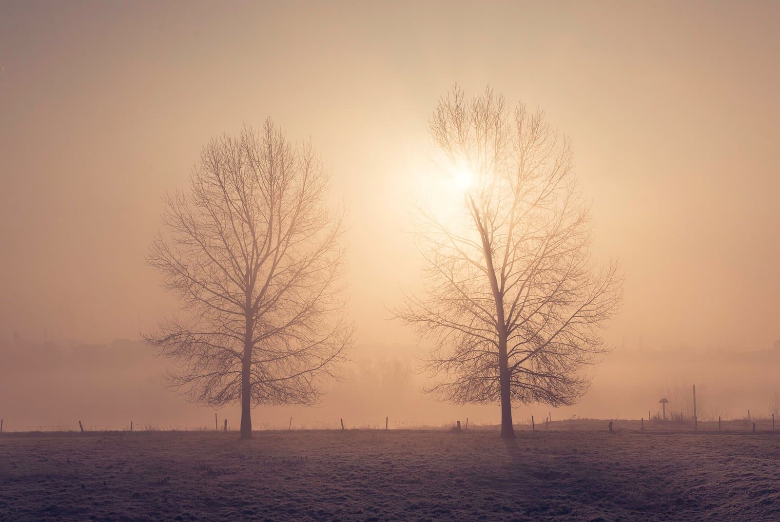 149 Foggy Morning Sunrise