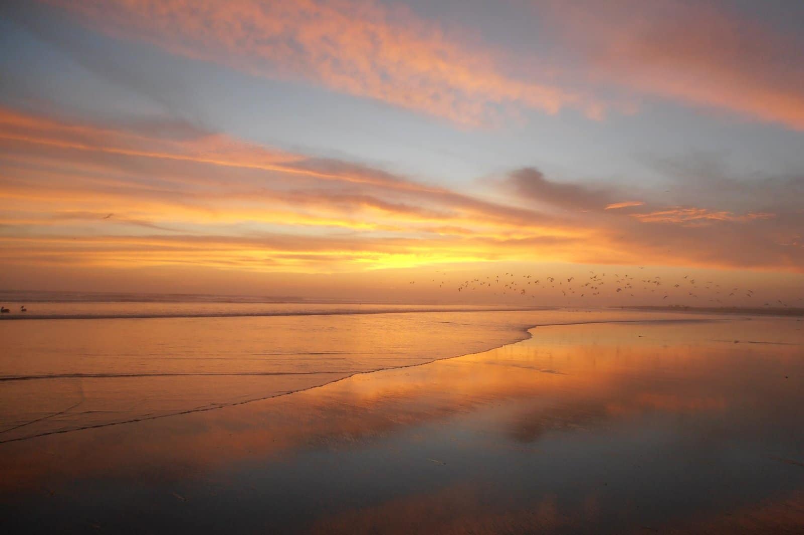 166 Walking KareKare Beach, New Zealand