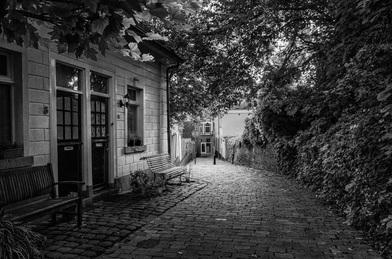 Morning Walk Sittard