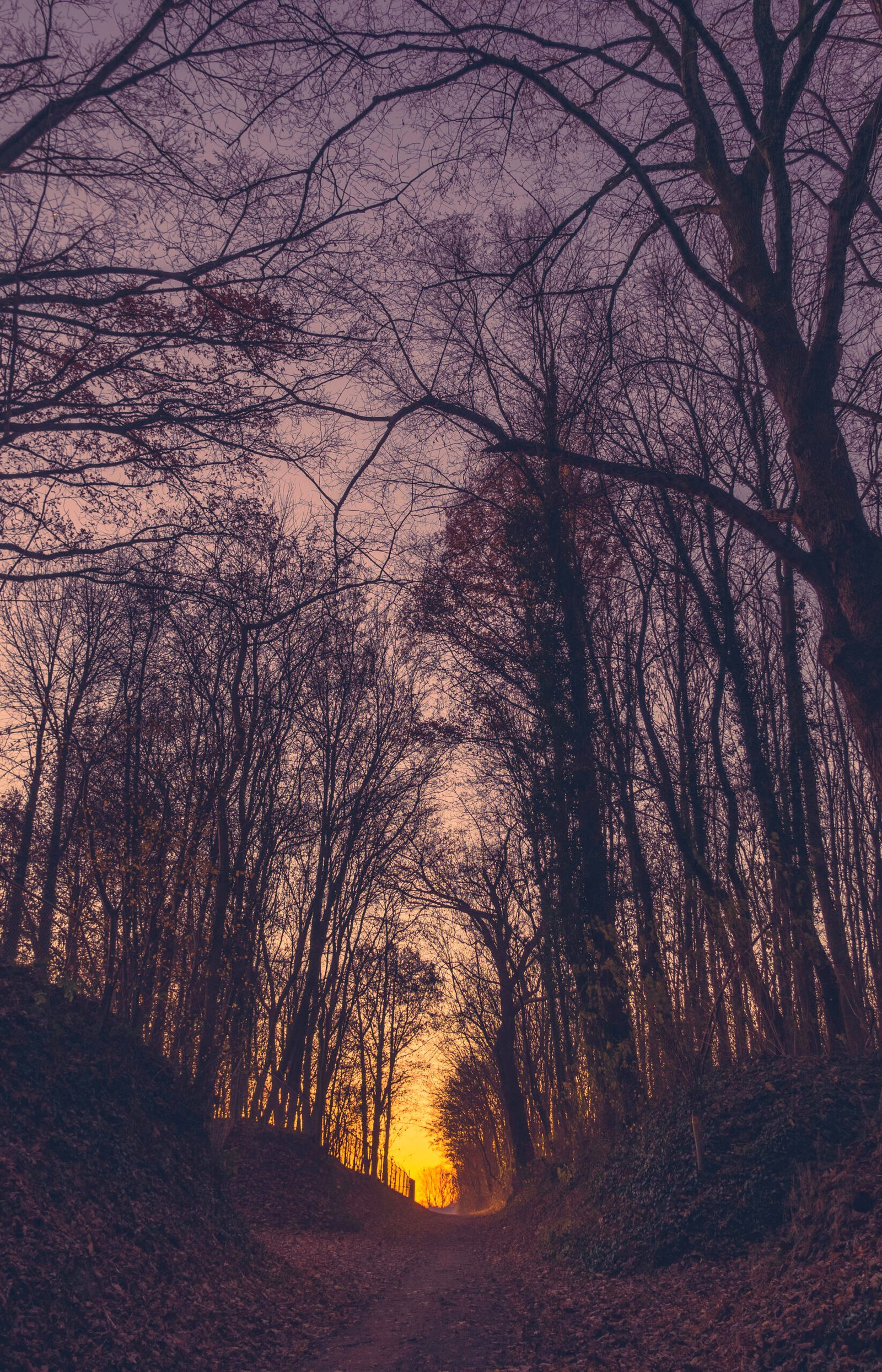 118 Morning Walk Sittard, Kollenberg