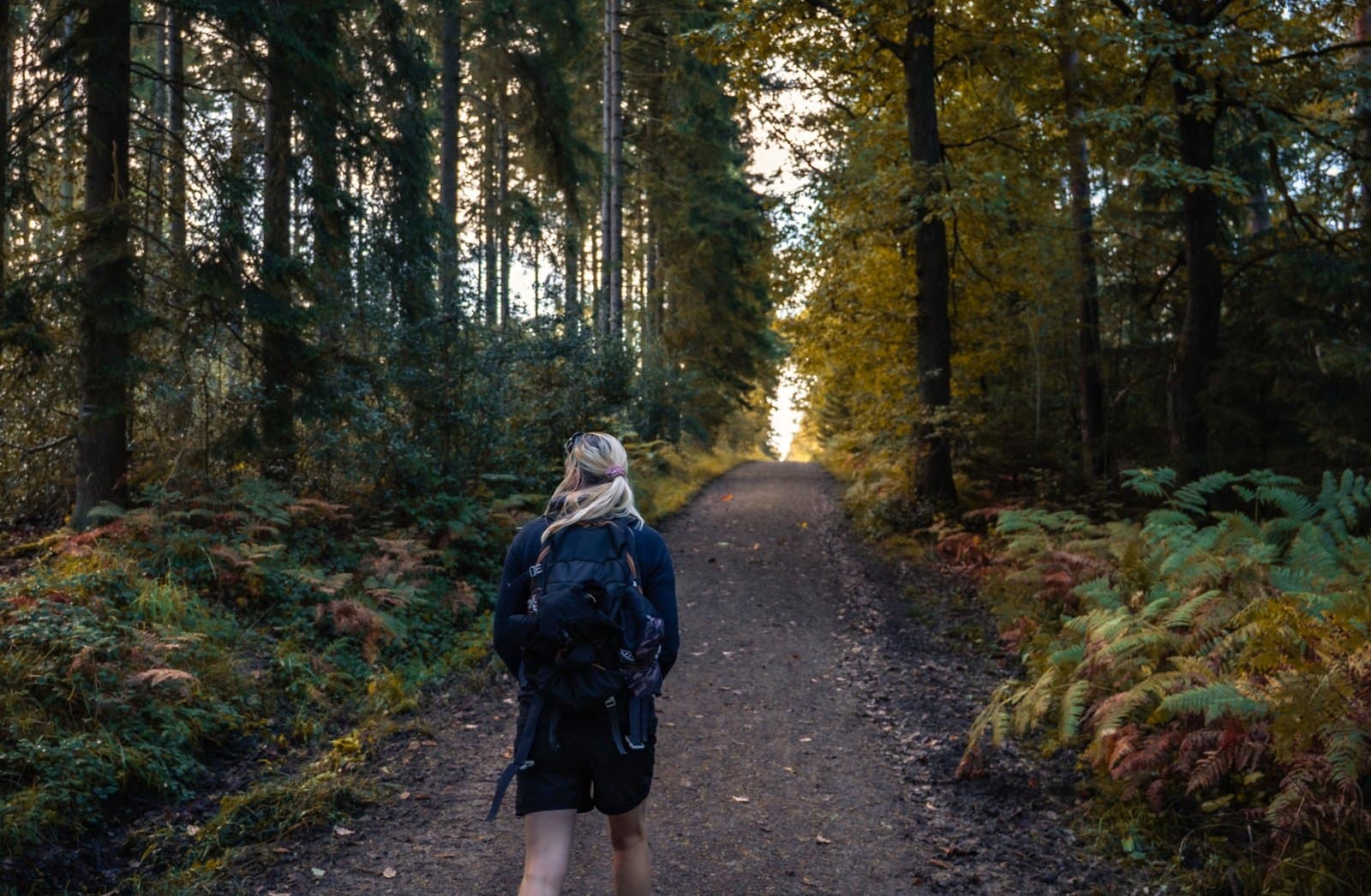 Somewhere on the Eifel Trail, Germany