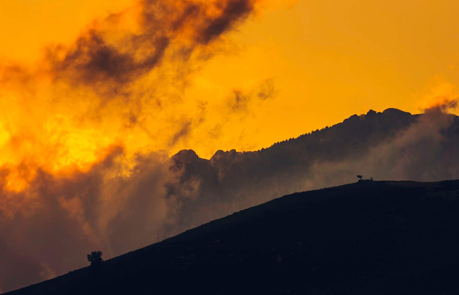 Somewhere In Corsica