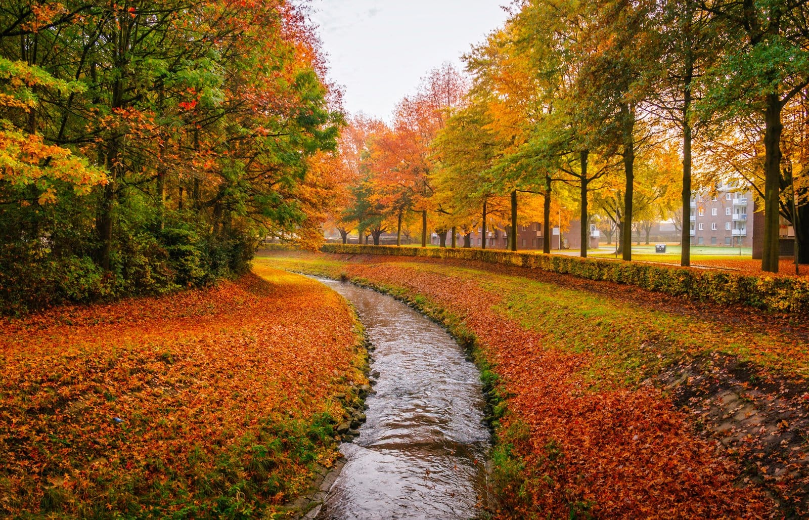 74 Late Autumn Sittard