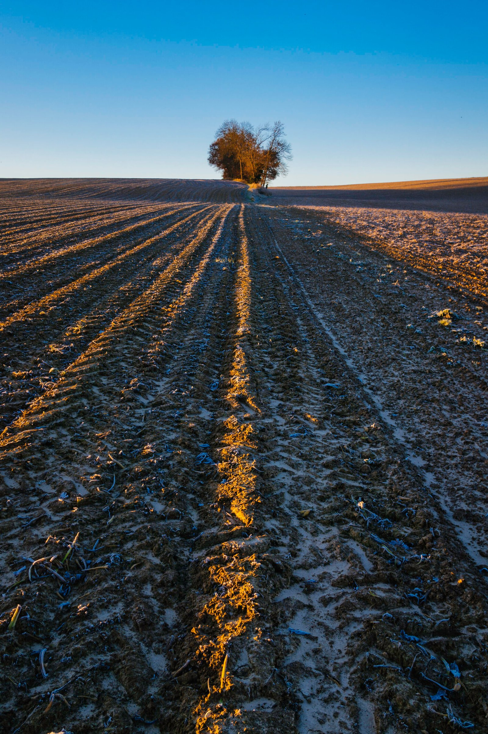 147 Morning On The Kollenberg