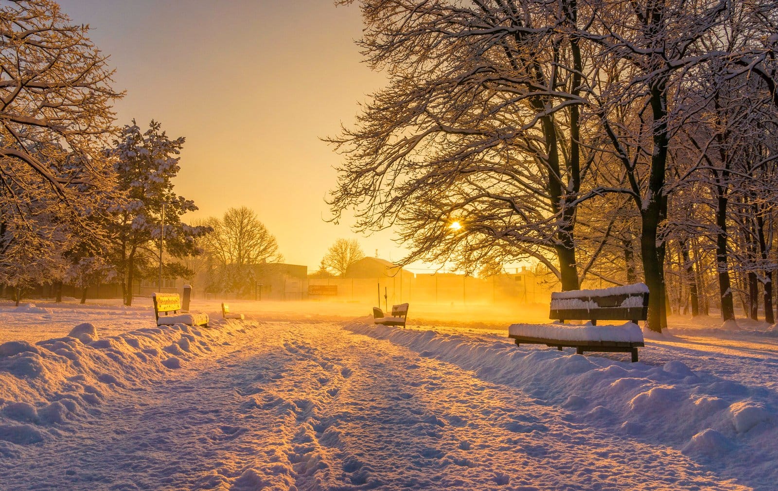 125 Morning In Karvina