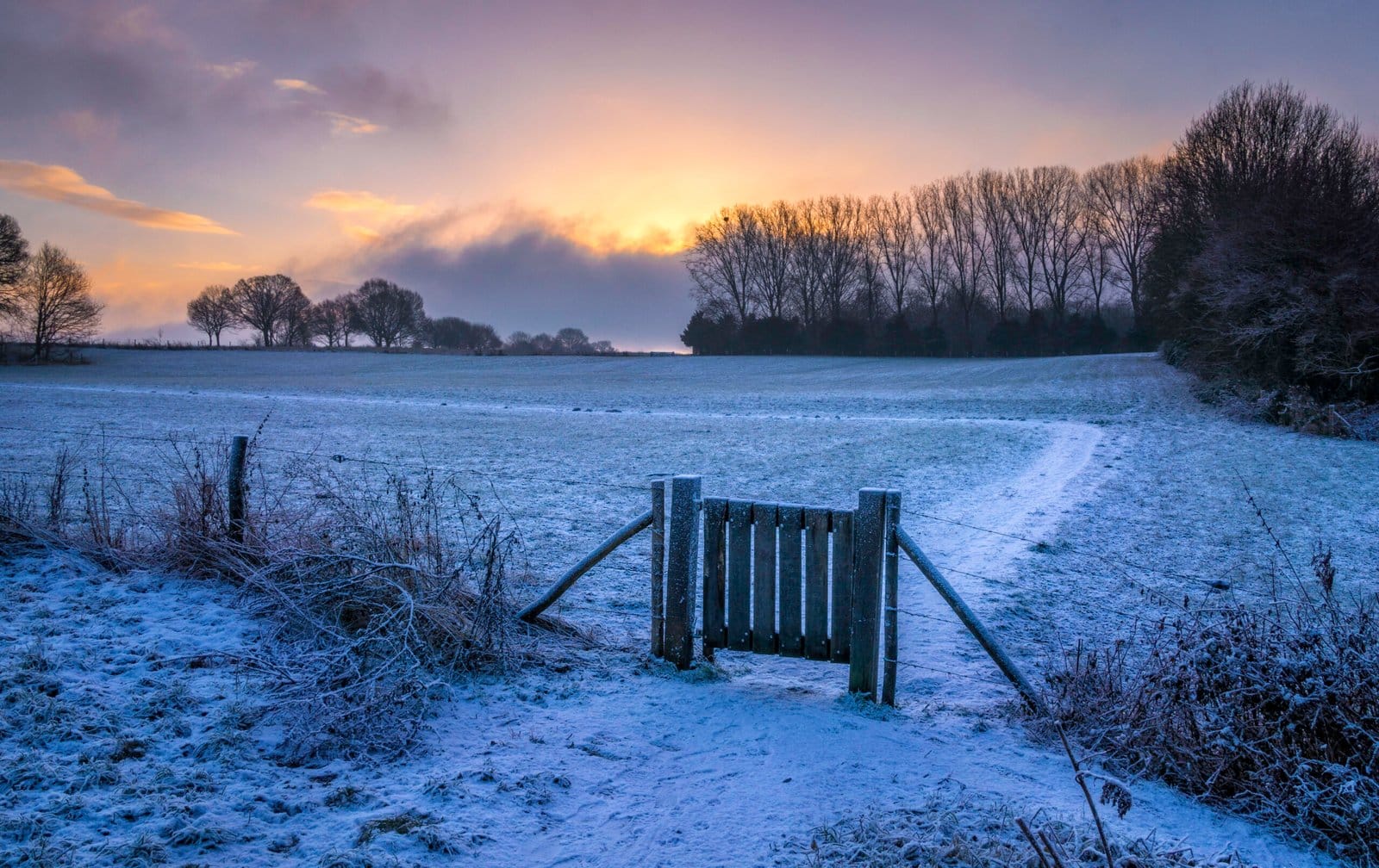 129 Early Morning Walk - Kollenberg