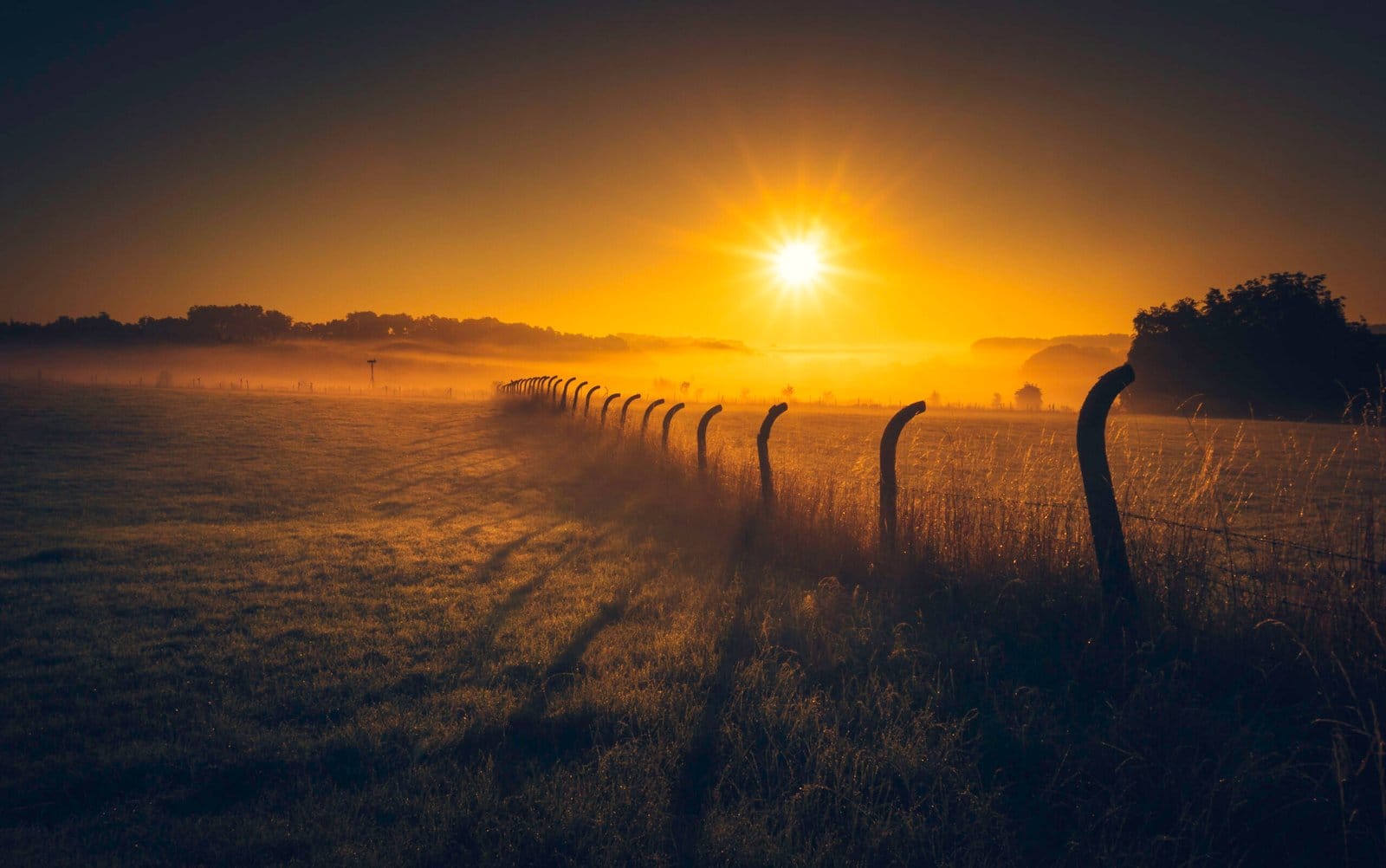 92 Perfect Morning MTB Ride