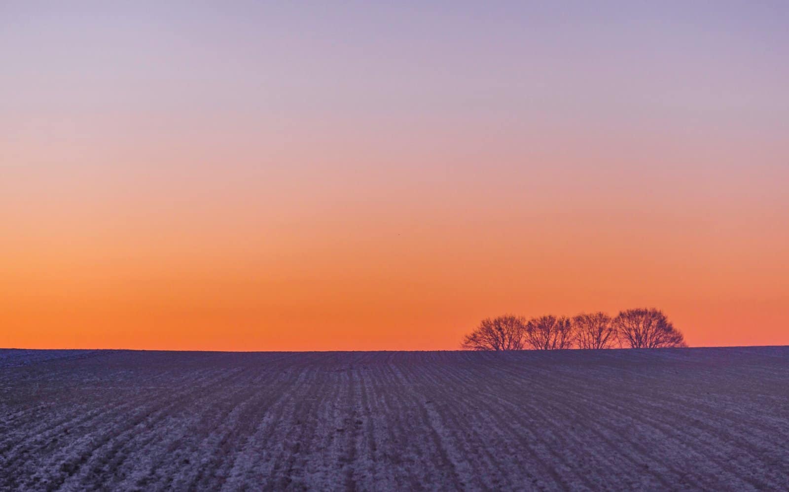 139 When Light Does the Work