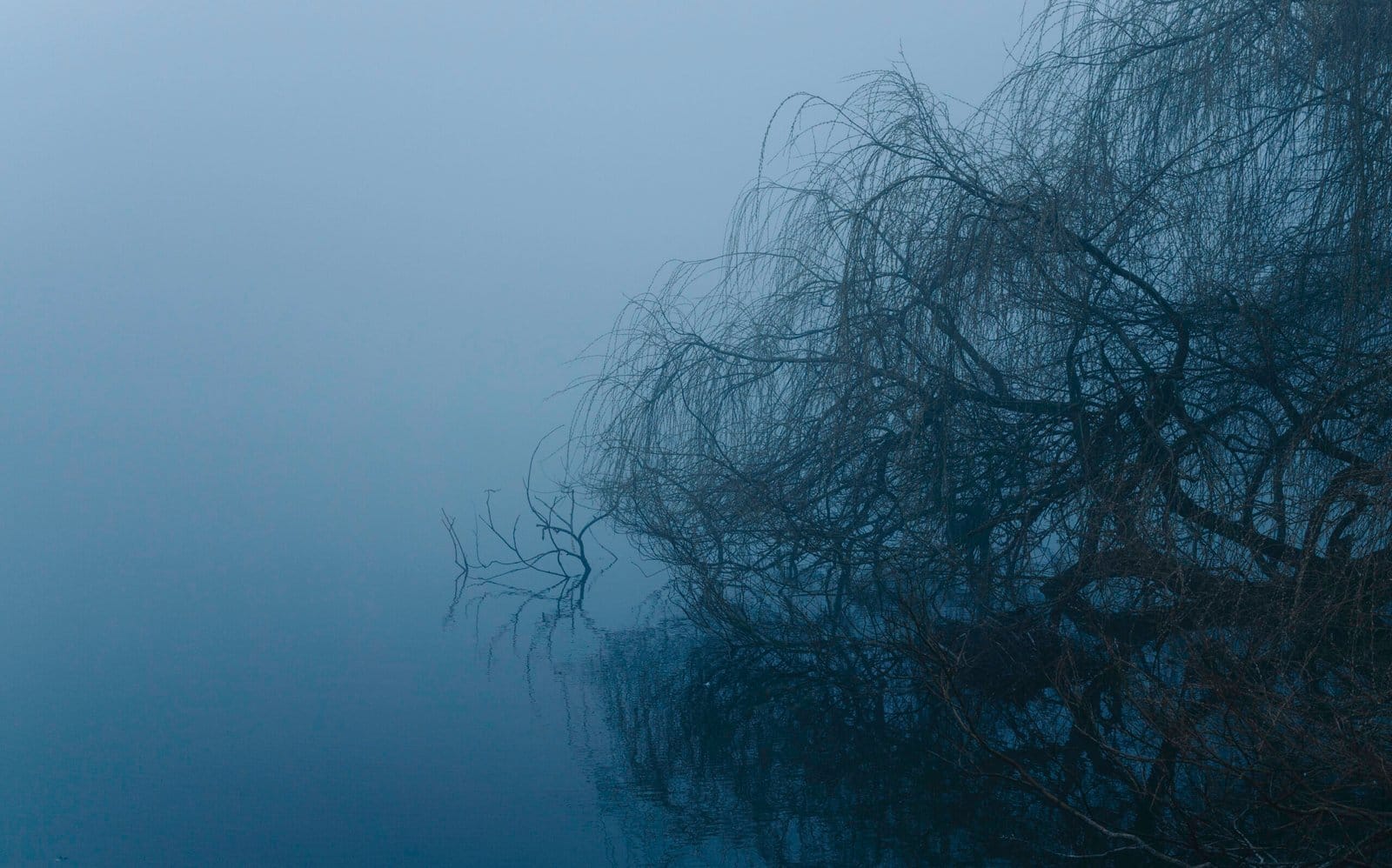145 Foggy Morning By Stadspark Sittard