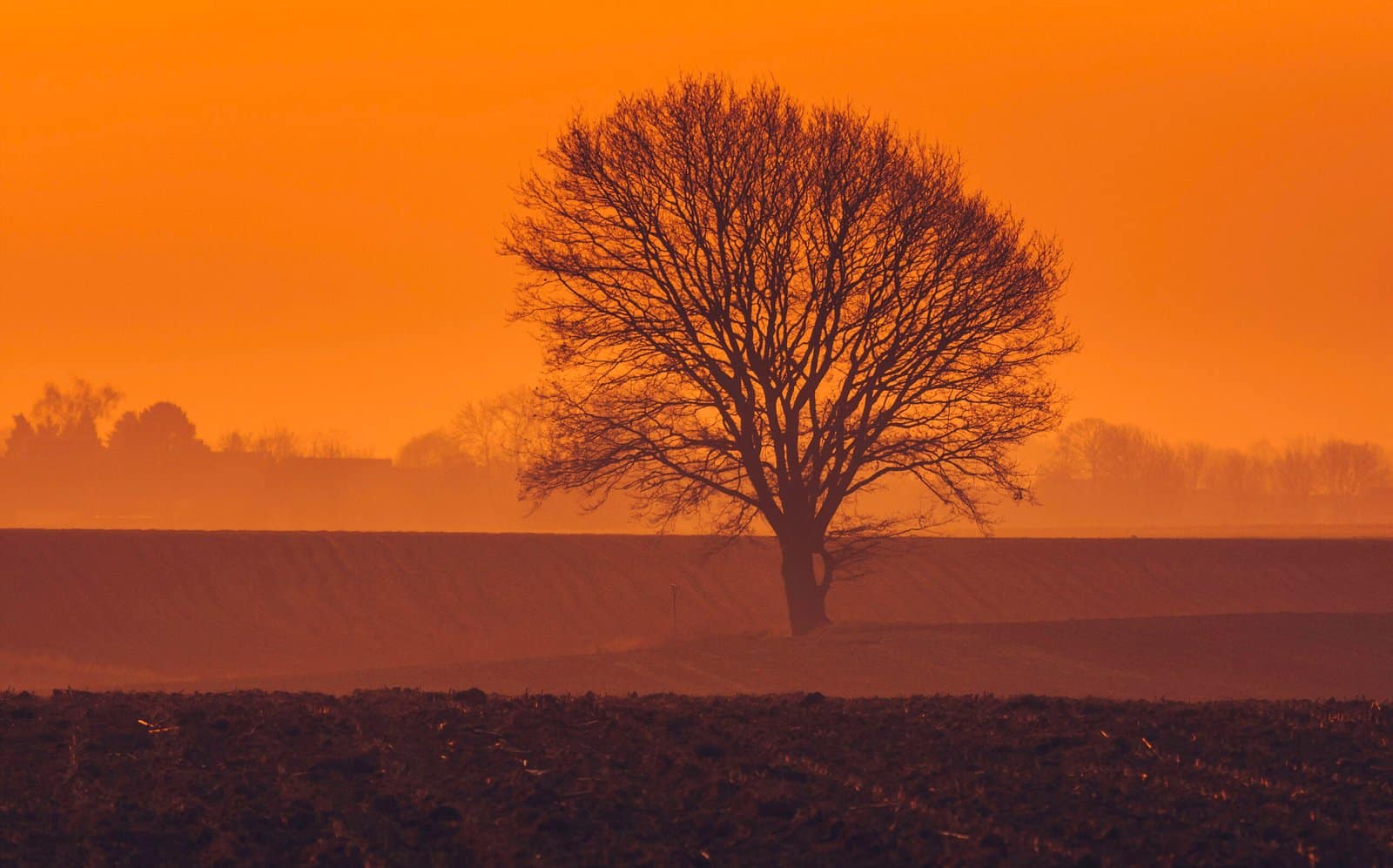 151 On The Kollenberg In The Morning