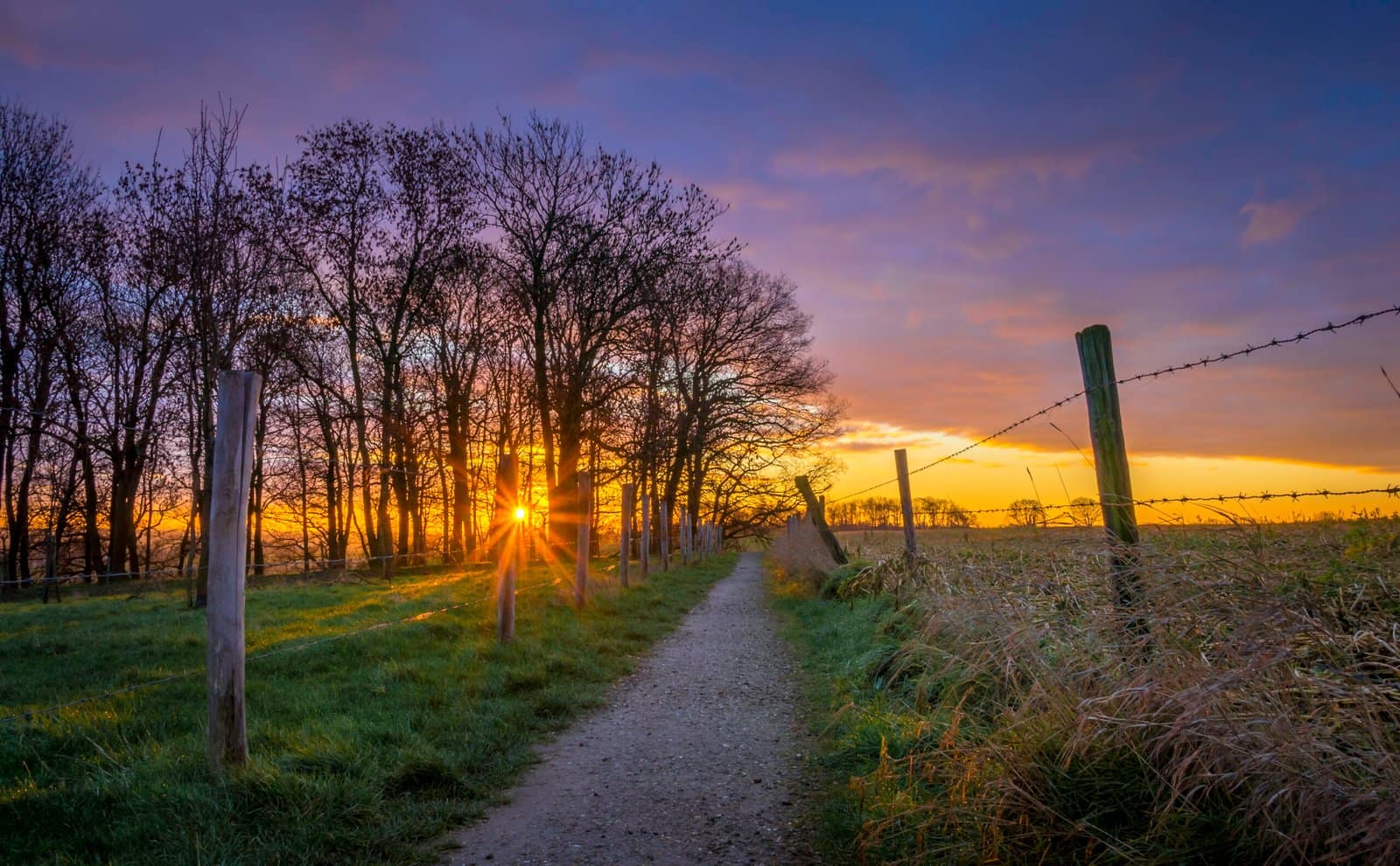 141 Kollenberg Chasing Light