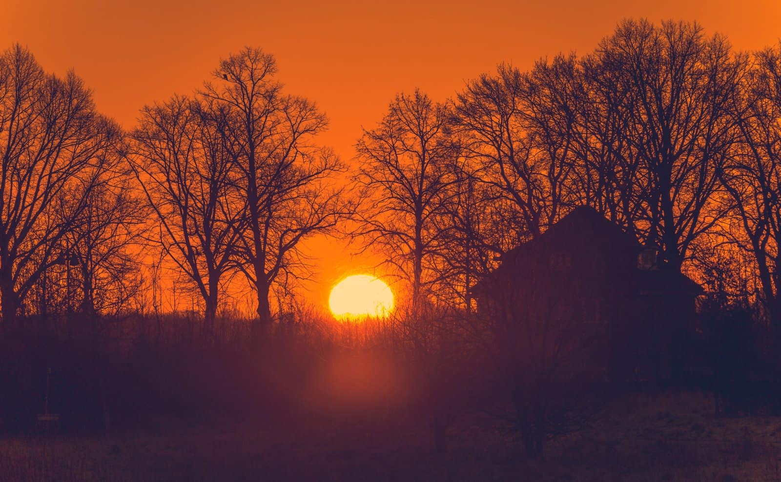 142 The Sun