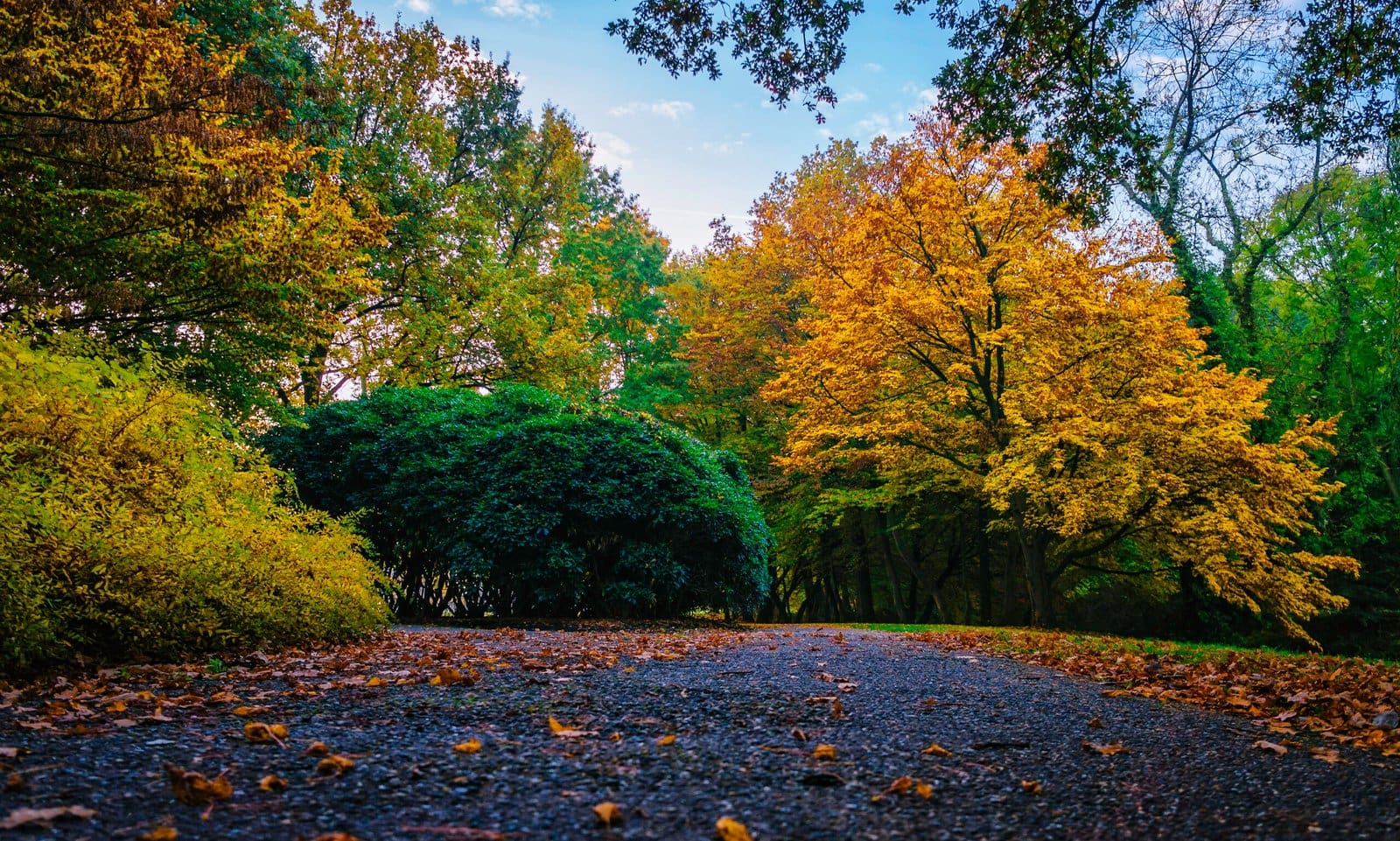 66 Walk In Stadspark Sittard