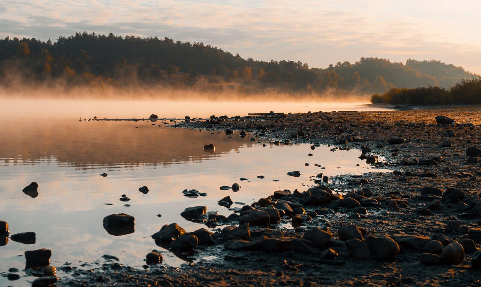 Morning Calm at Mechelse Heide