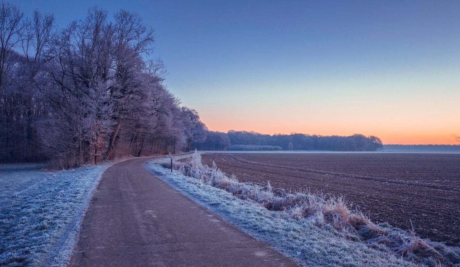 Frozen land - Limbricht