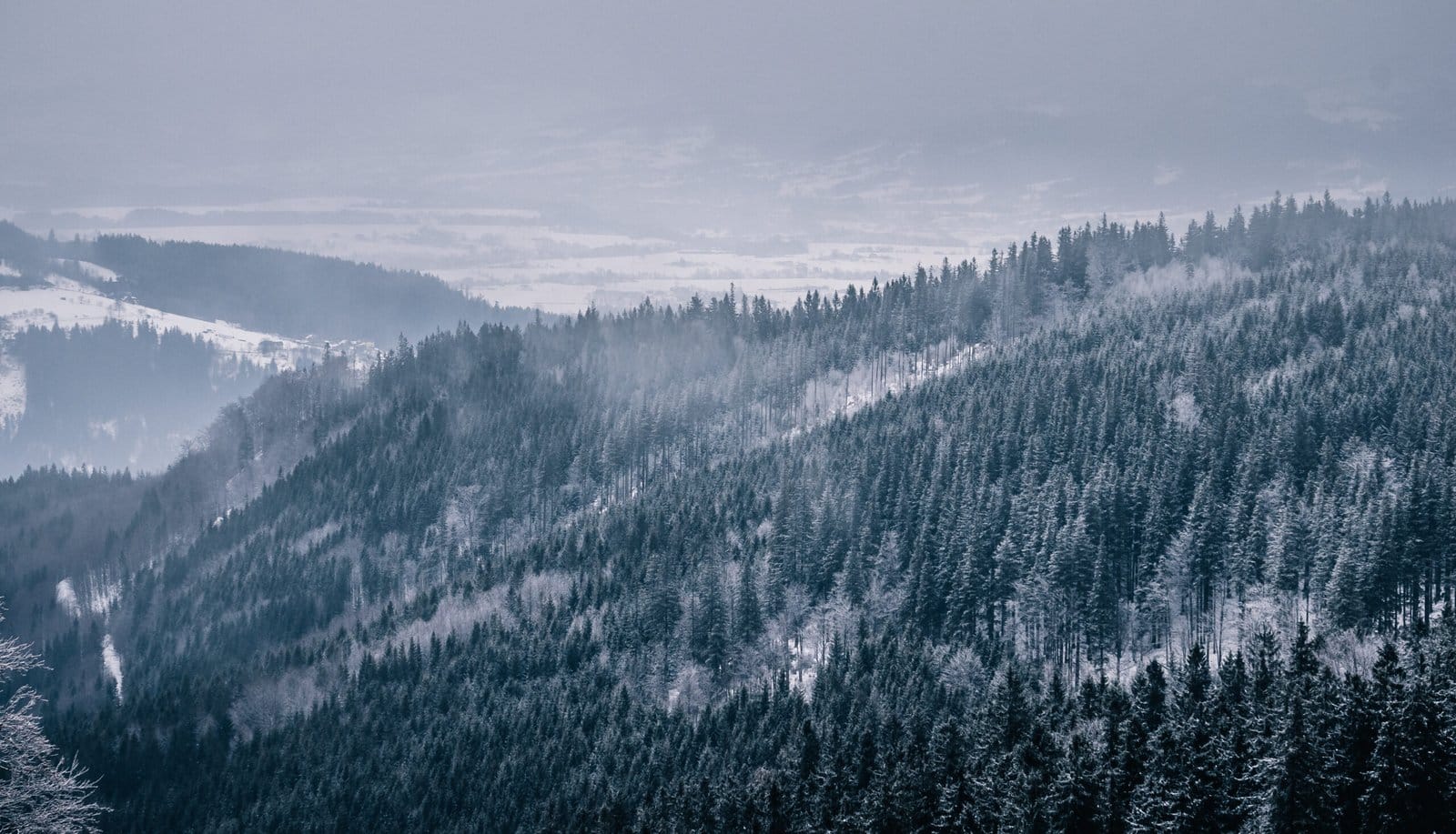 View From A Hike To Skalka