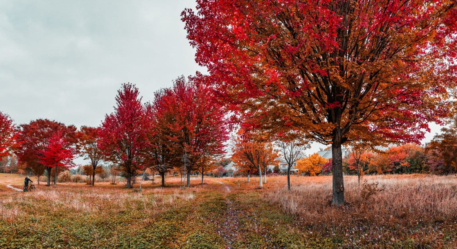 75 Lightroom Panorama - Seven Shots