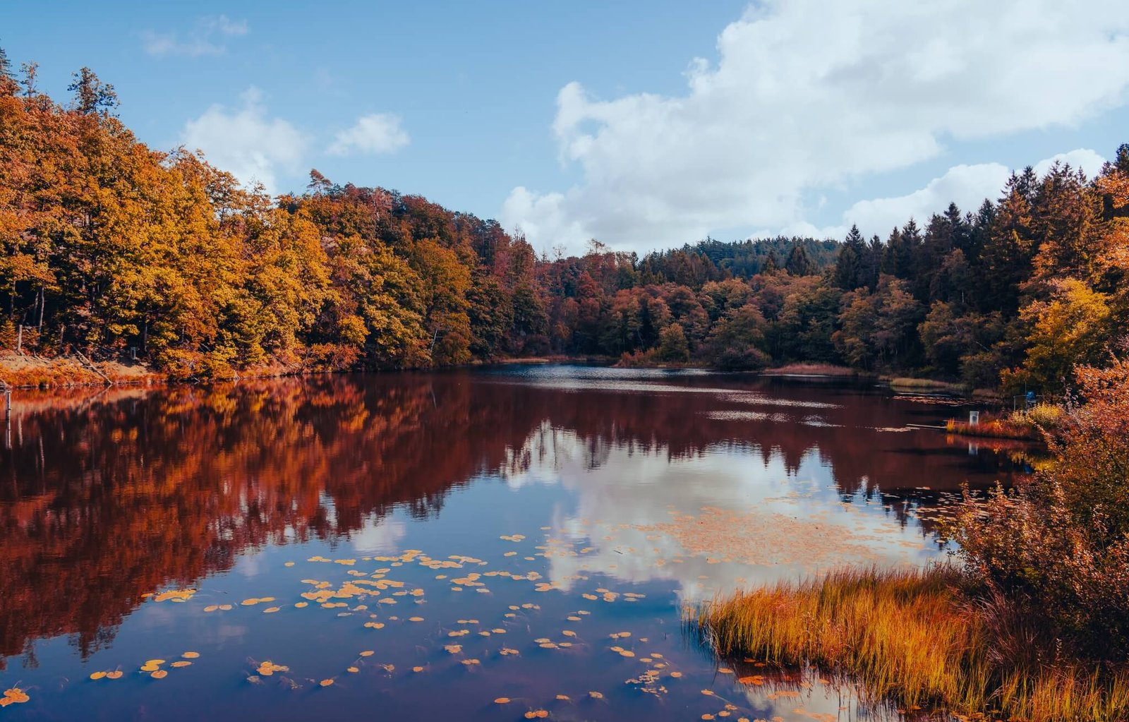 Autumn Is Here