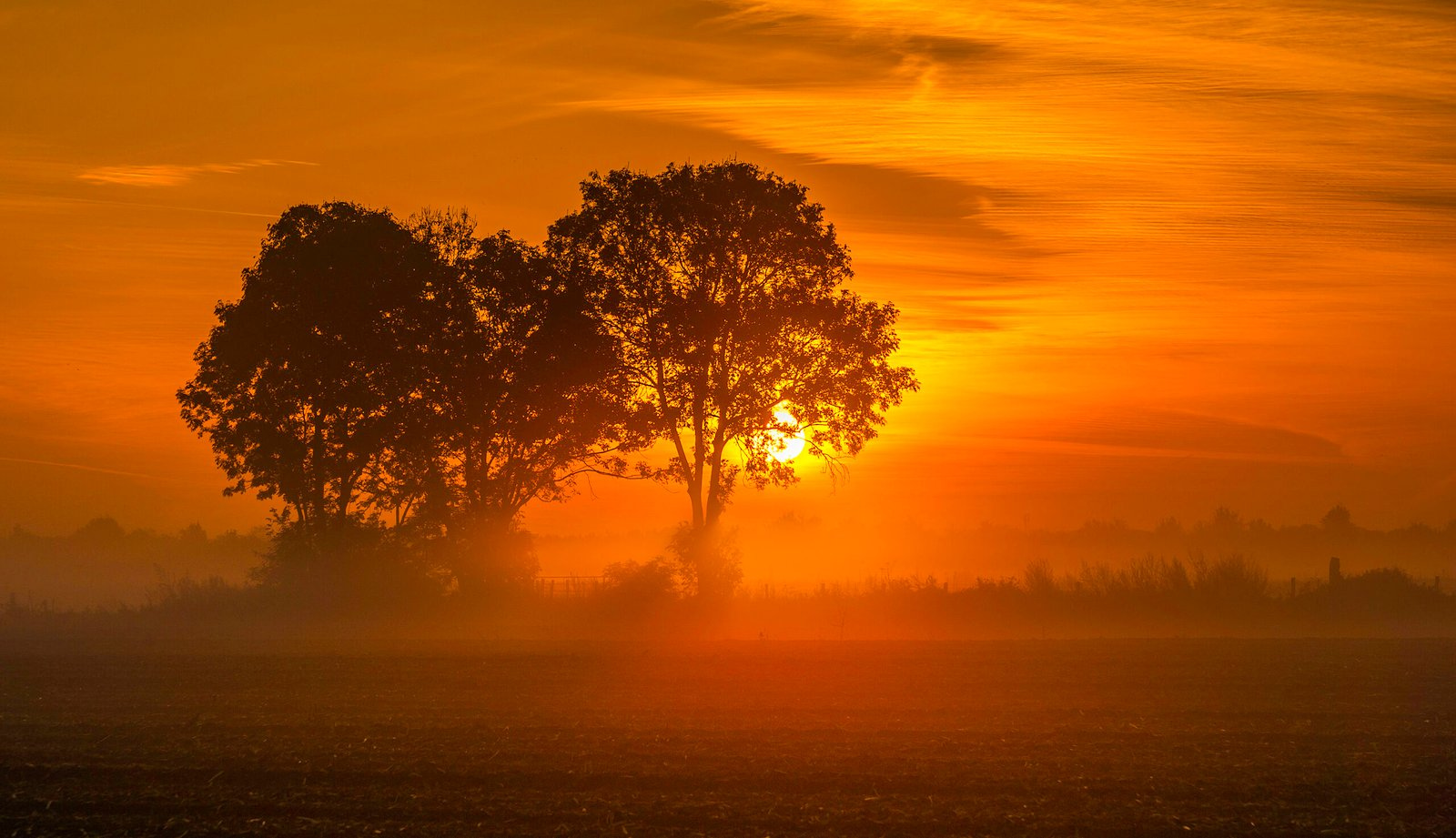Sunrise From Adam Beckersdreef