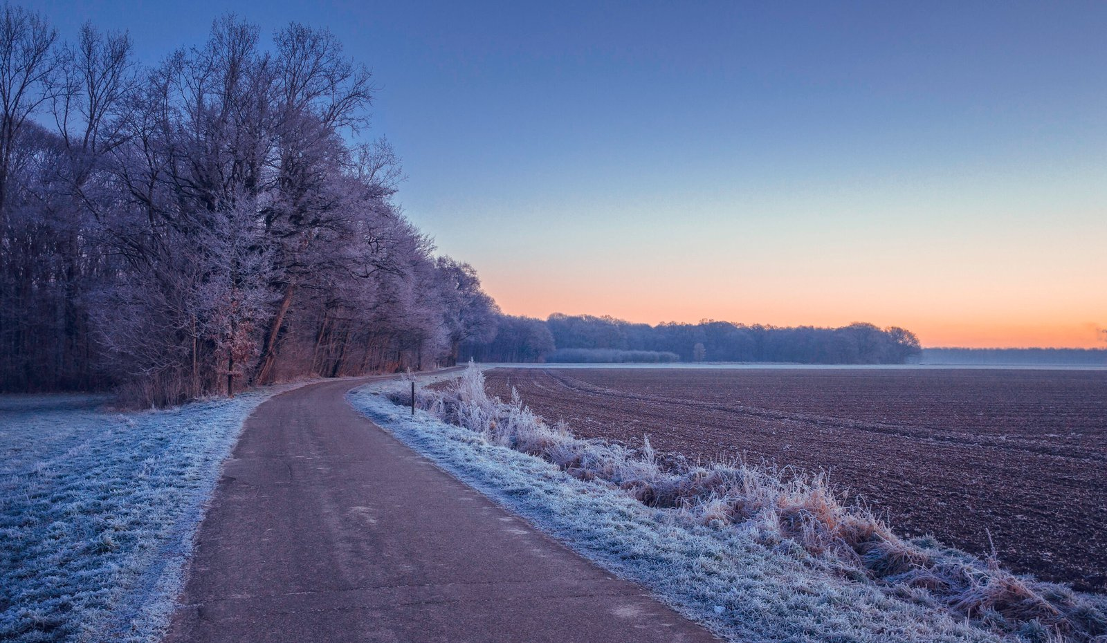 Frozen land - Limbricht