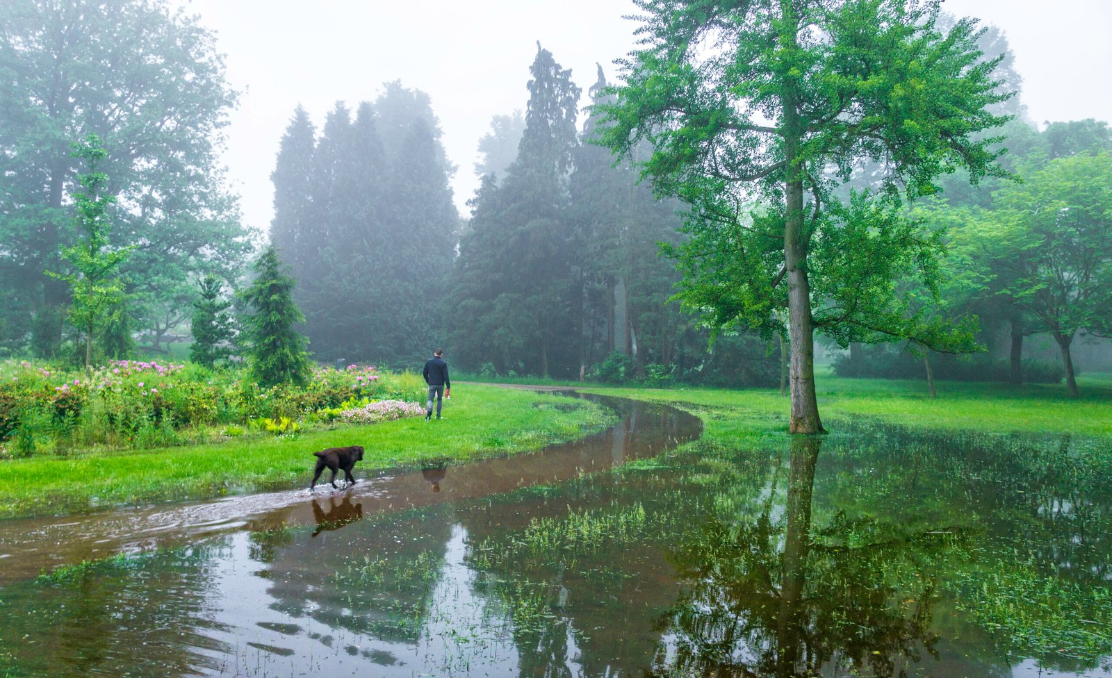 171 After The Rain Stadspark