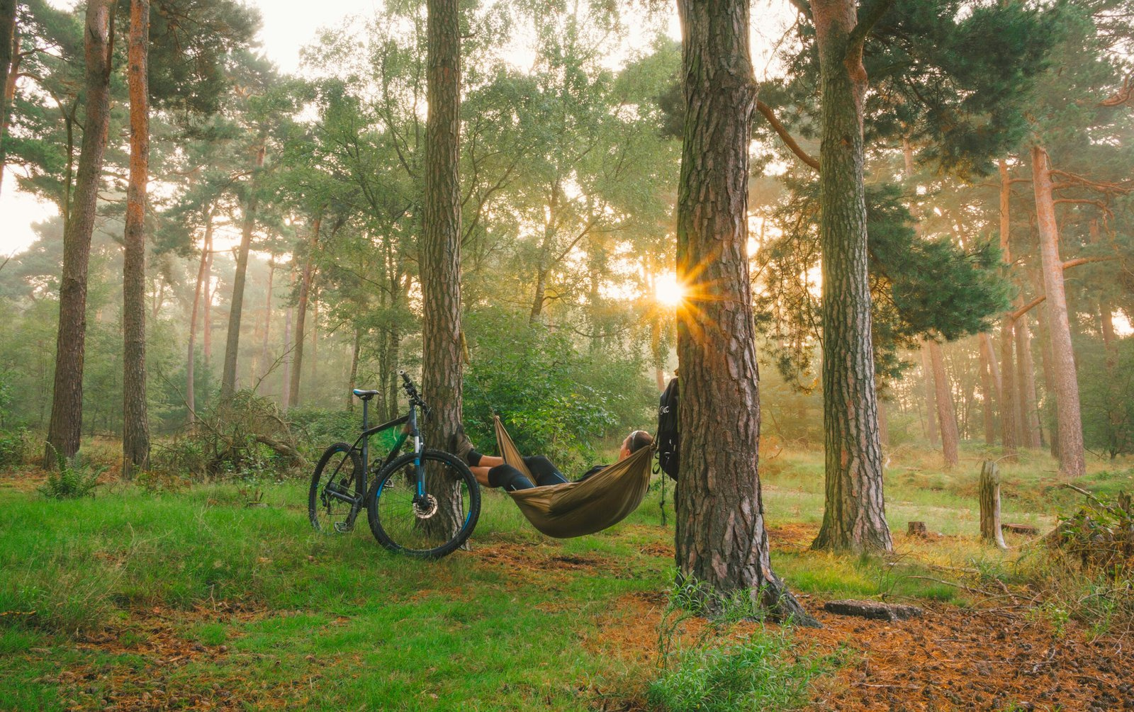 Morning Bliss