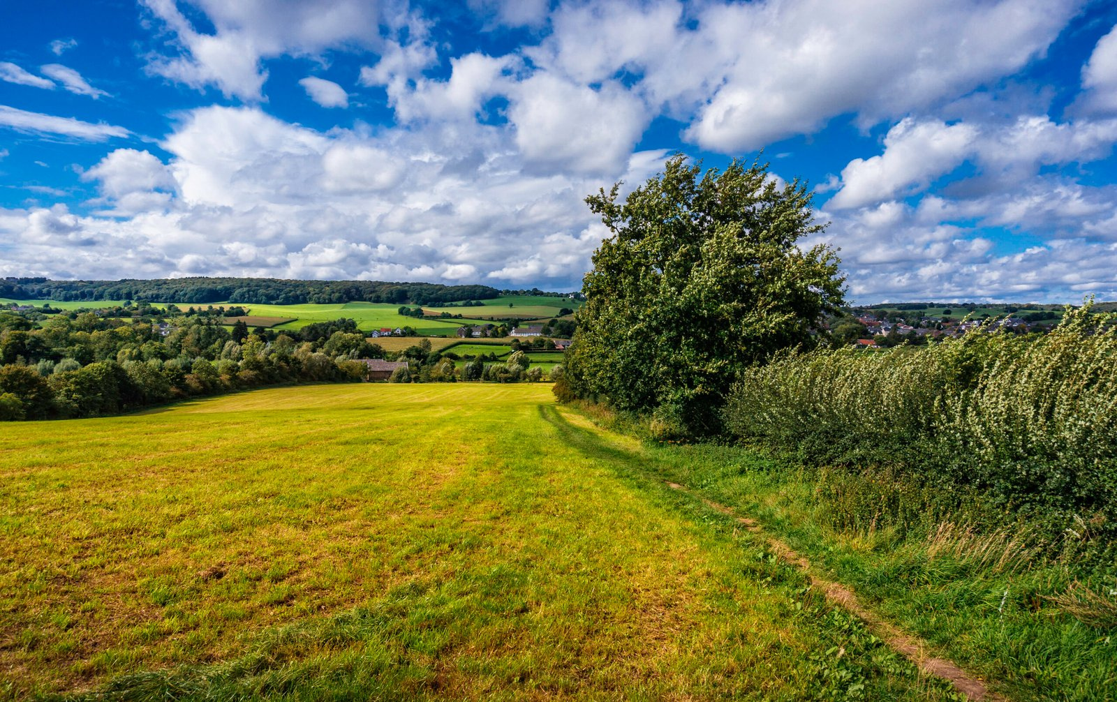 175 Somewhere Close To Vaals
