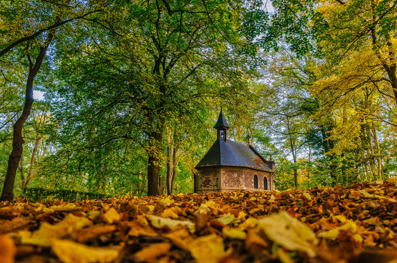 61 Sint Rosa Chapel Autumn