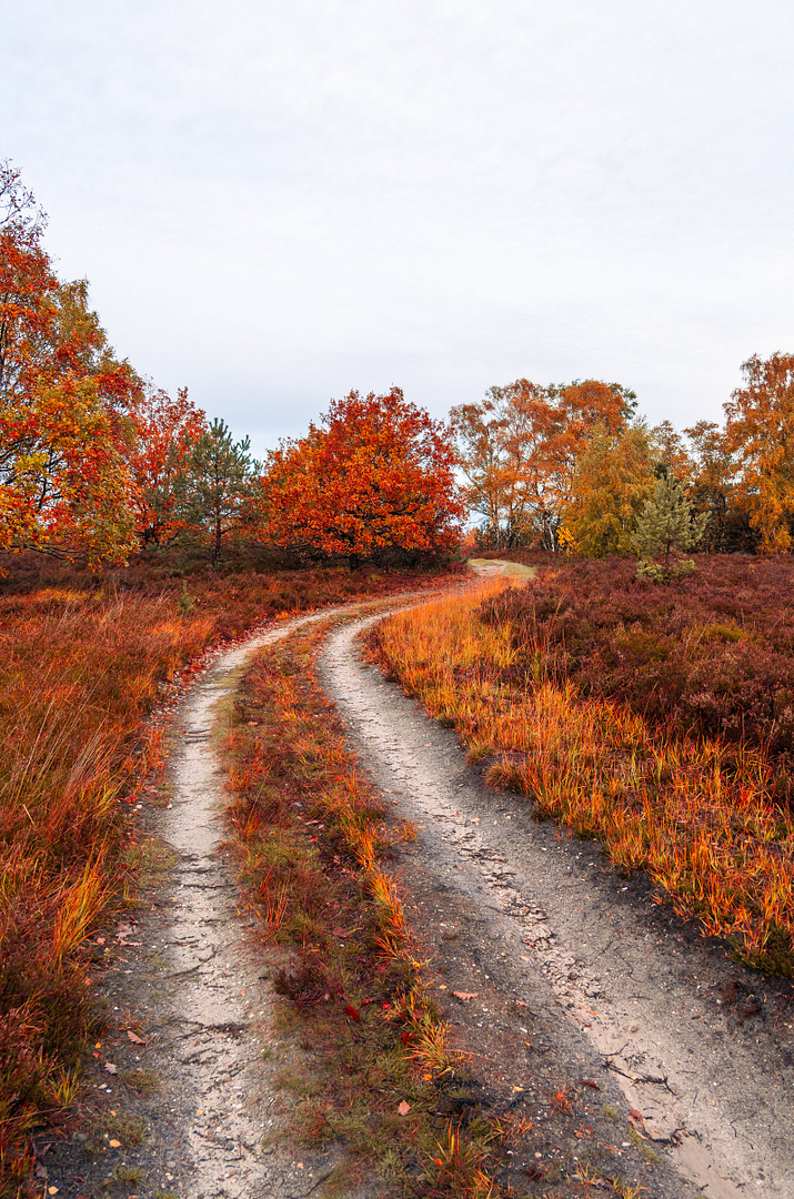 Autumn Walk Keep Going