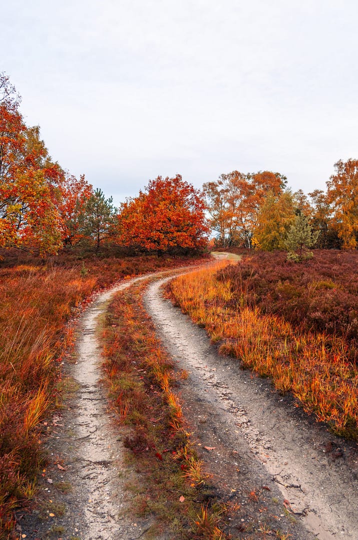 Autumn Walk Keep Going