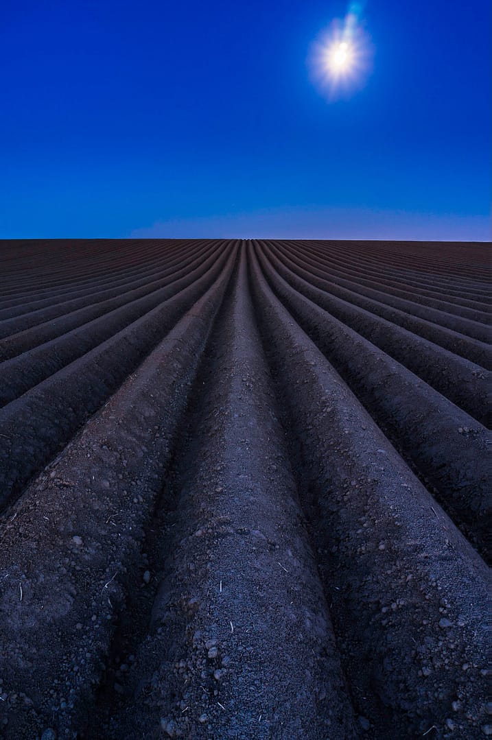 86 Field At Night - Kollenberg