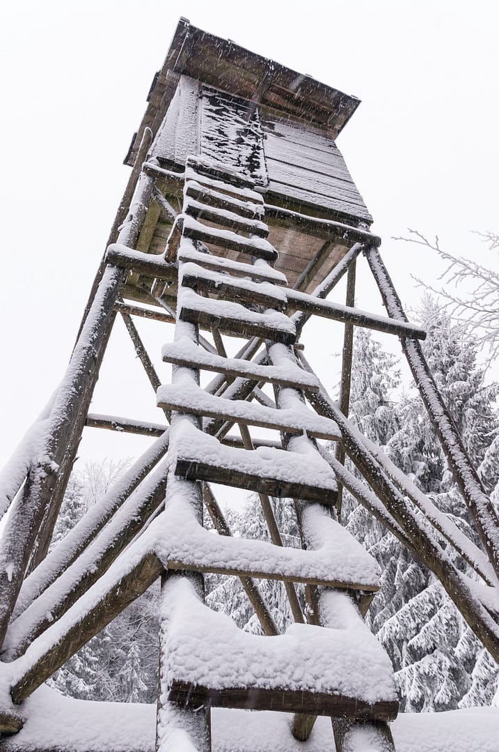 107 Lookout Tower For Hunters Hidden In The Forest