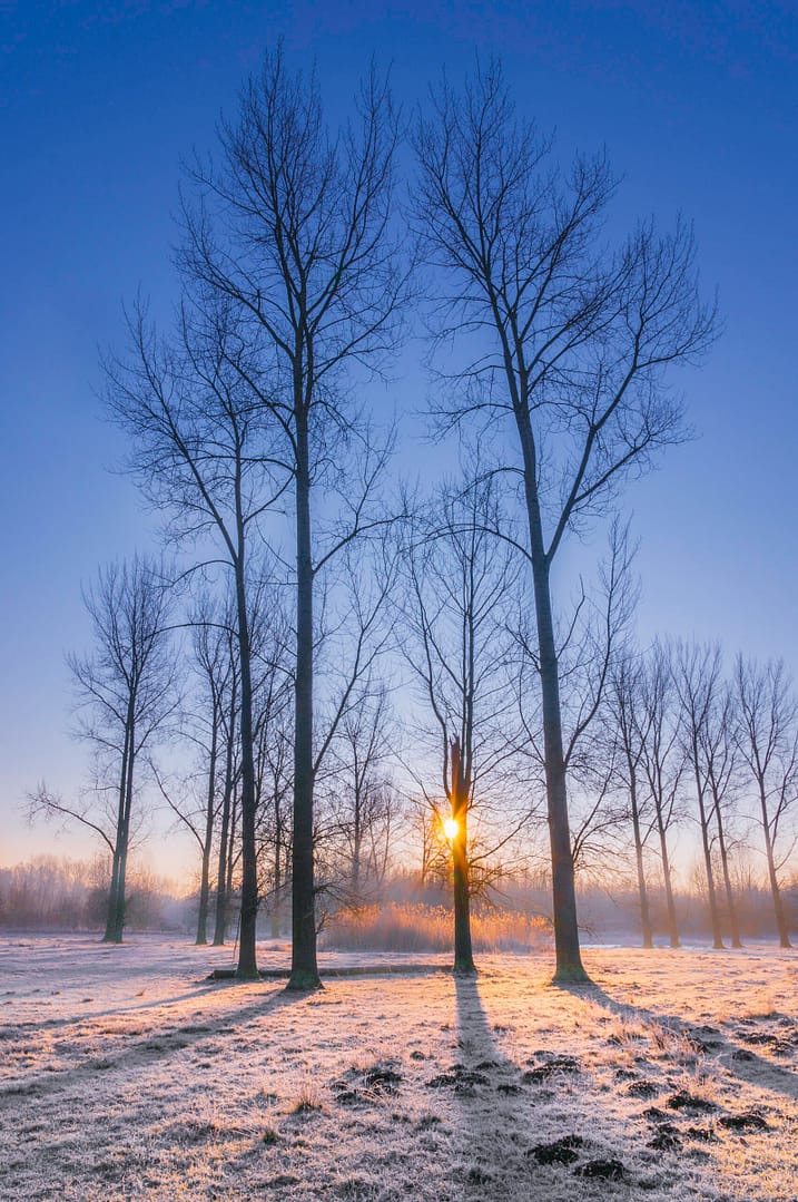 130 Sunrise Over The Field