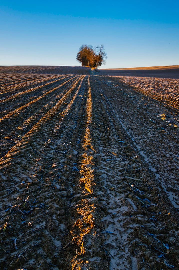 147 Morning On The Kollenberg