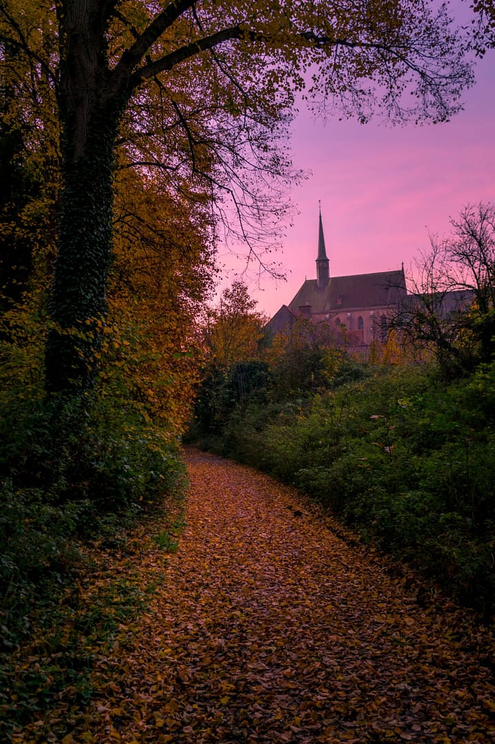 94 Watersley Late Autumn Shot