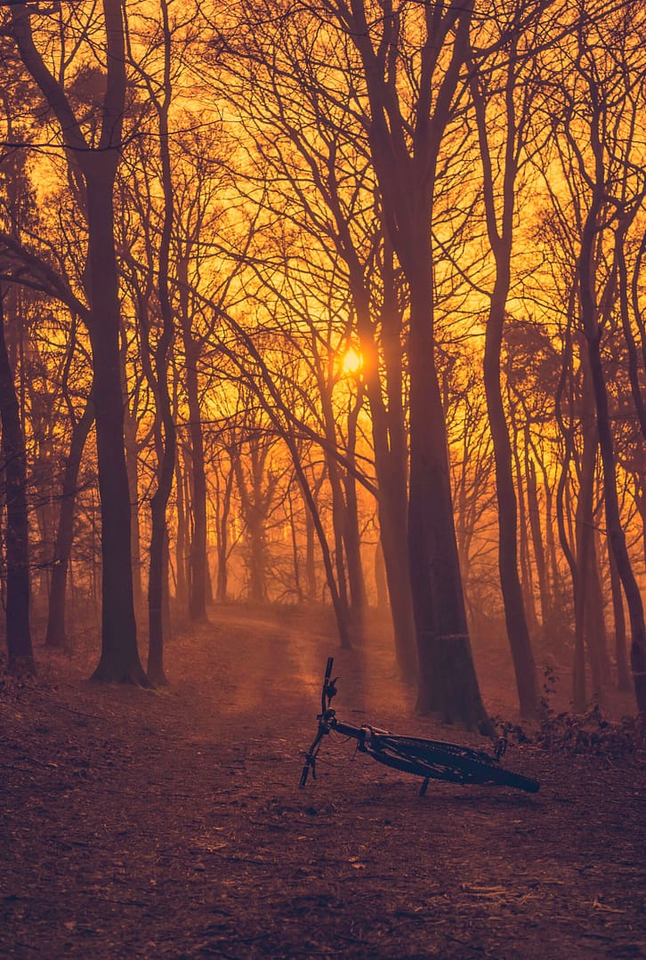 138 Danikerbos Morning MTB Ride