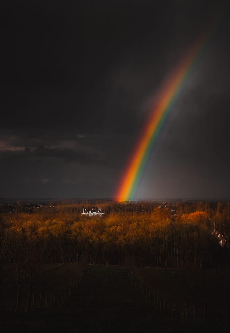 Rainbow - Sittard Kollenberg