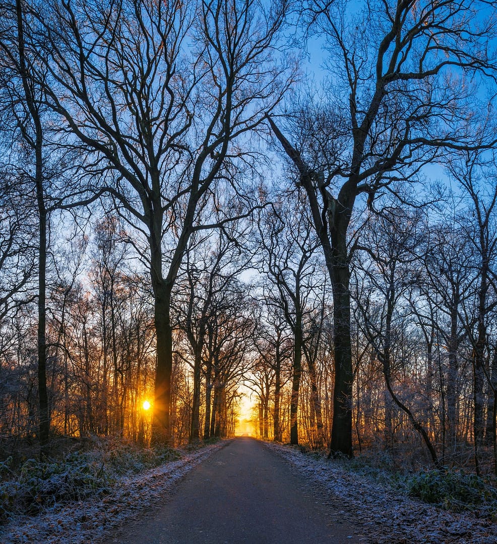 153 Sunrise in Born